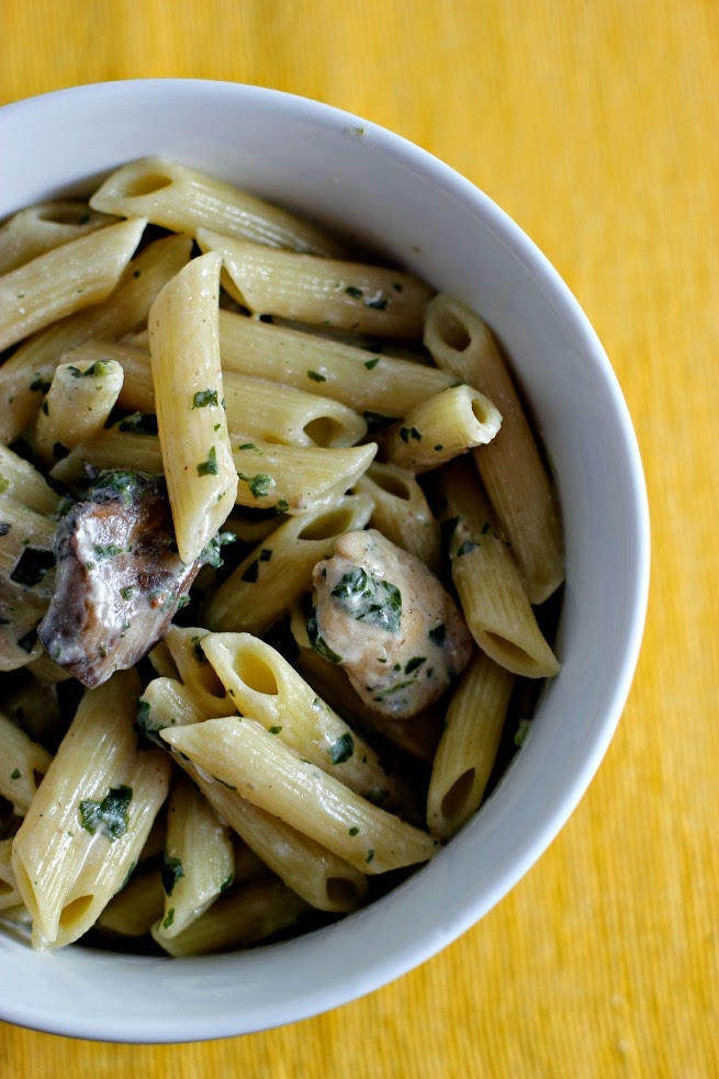Quick Chicken Stroganoff Penne Pasta A Little Desert Apartment