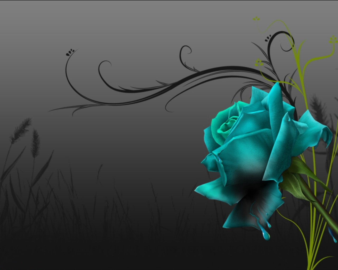 Black And Blue Rose Wallpaper Black And Blue Rose Wallpaper