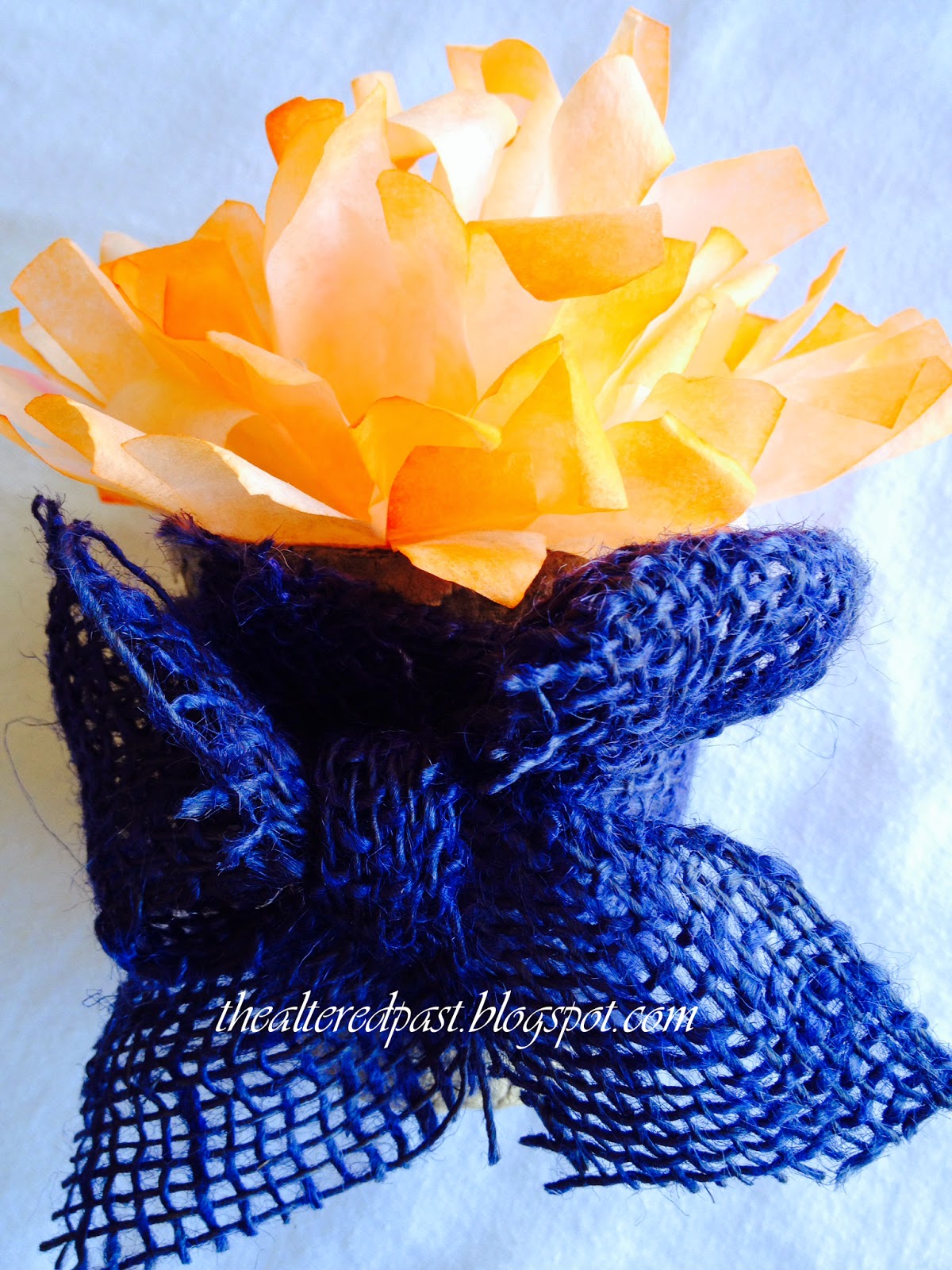 Spain Hill Farm Beautiful Coffee Filter Flowers
