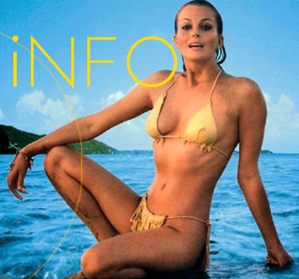 Https Encrypted Tbn0 Gstatic Com Images Q Tbn 3aand9gcrddsomeoe8l9hdibhsp8qp4pk867eblmsflq Usqp Cau