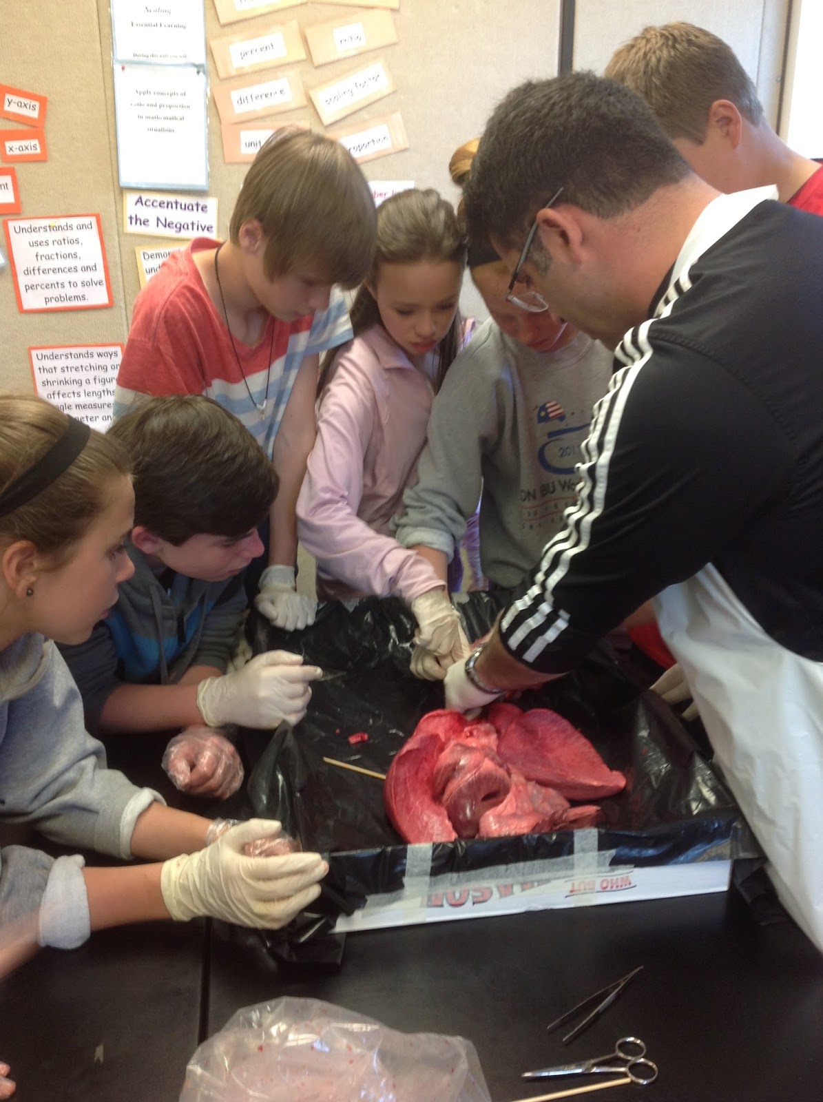 Cuthbert - 7th Grade Science Day to Day: May 2013