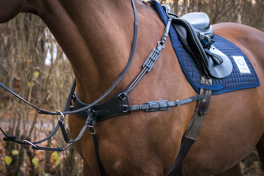 Holiday Wishlist and Riding Warehouse Coupon Code DIY Horse Ownership