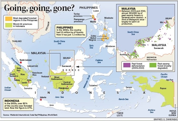 New porn 2020 - Map for southeast asian rainforest rainforest southeast asian Map for
