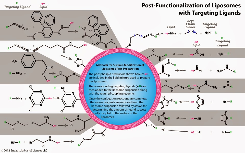 Longtime Washington Hs Teacher Recognized At National Association