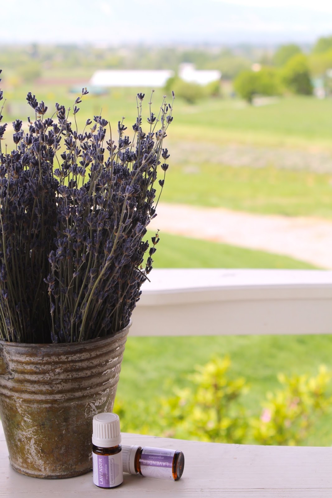 Creative Ways To Use Lavender Essential Oil The Lavender Apple