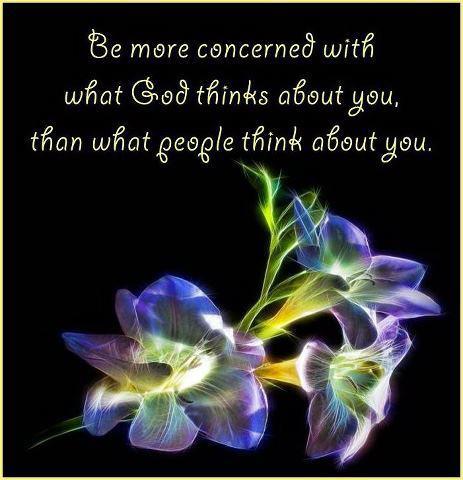 Quotes about daylilies. quotesgram Daylily Quotes: August 2012