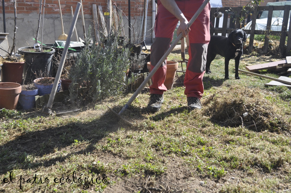 EL PATIO ECOLÓGICO arreglos en la zona de hierba