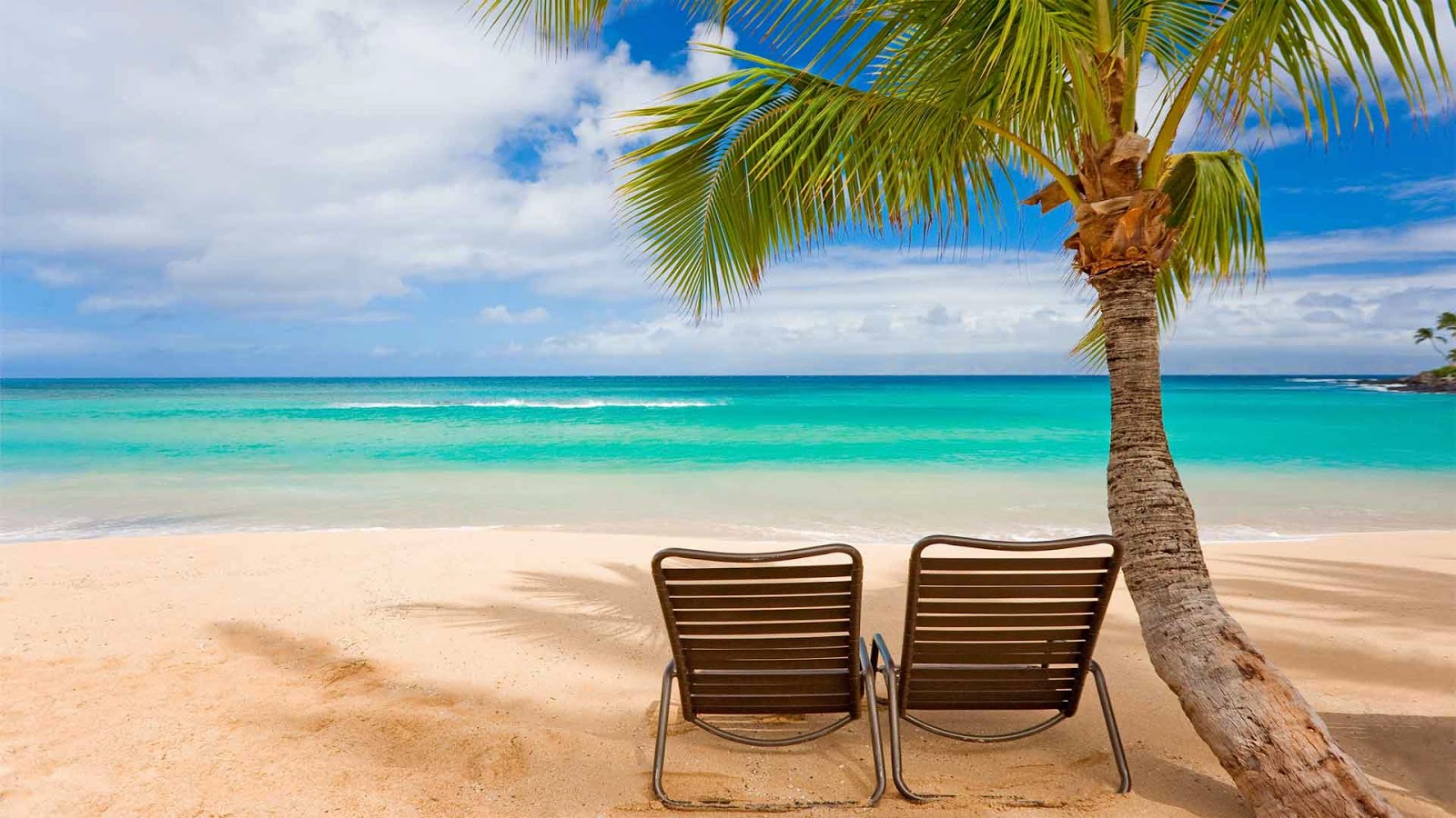 Hd Wallpapers Gallery Hd Desktop Wallpapers Free Download