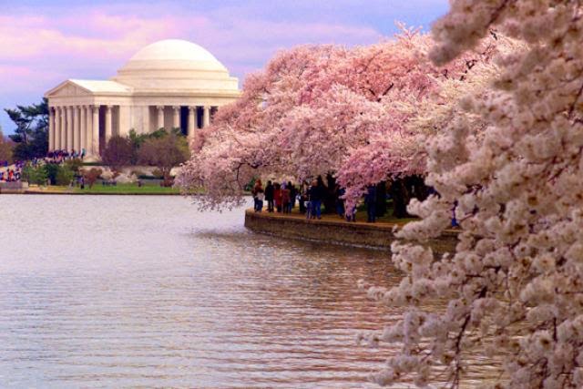 National Mall & Memorial Parks, Washington, D.C., USA