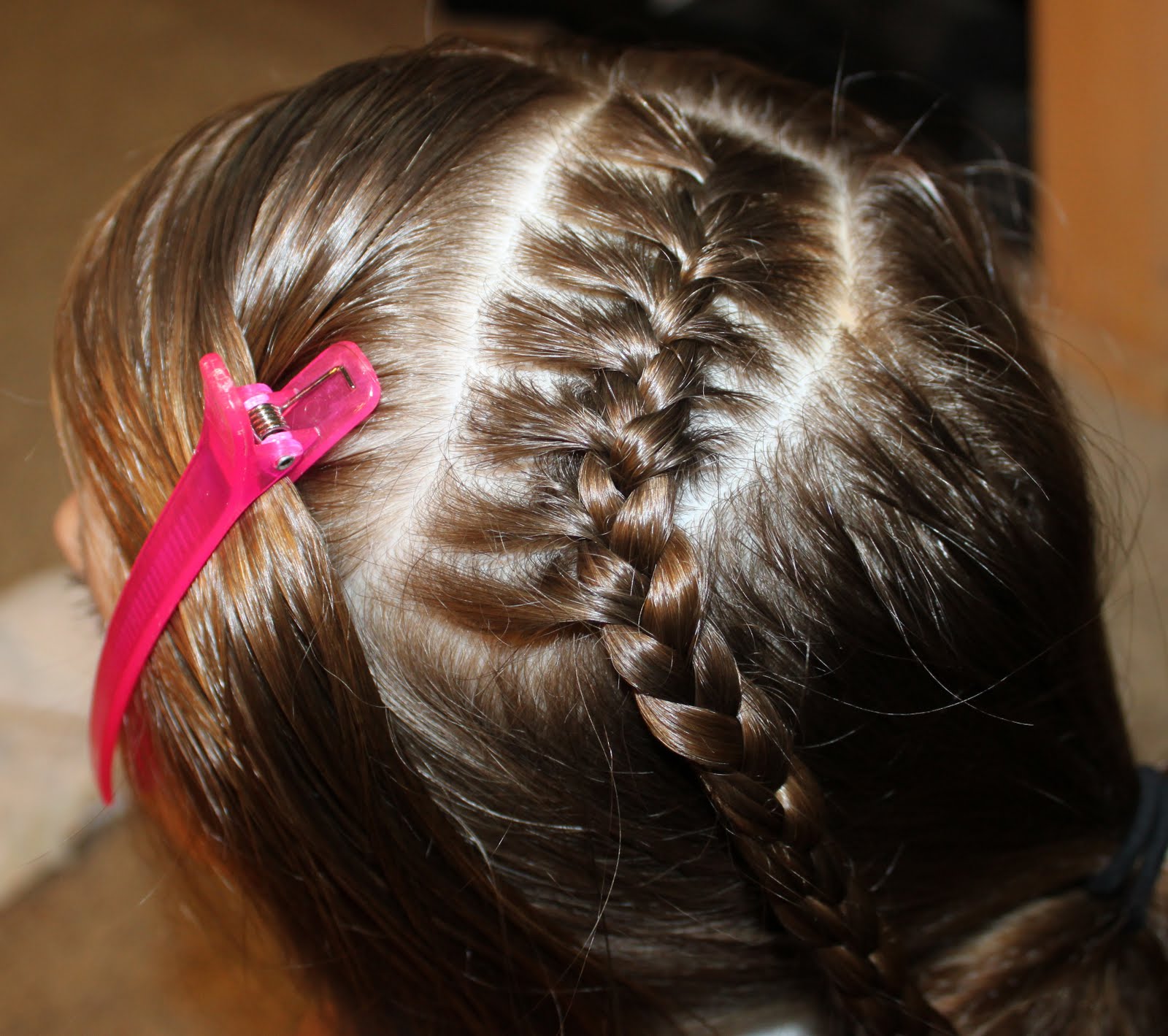 2 Braids Into Ponytail Hairstyles Ideas