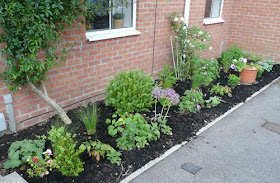 Home Decorating Ideas: Garden Ideas For The Front Of The House