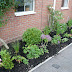 Garden Ideas For The Front Of The House