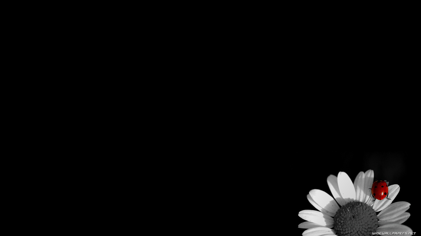 daily beautiful illustrations # 86 : high resolution black wallpapers