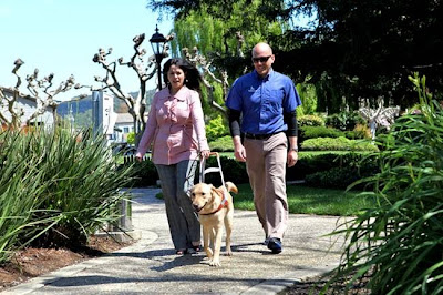 Alaska Airlines team member has a Guide Dog experience with Darren Walsh,Master Instructor