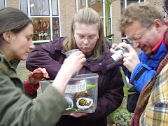 Natuur in de kinderopvang