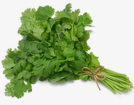 Kitchen Wonders English To Urdu Names Of Herbs