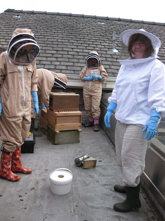 Setting up the hive