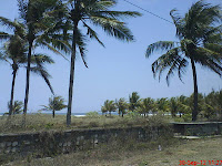 Pantai Banyak Pohon Kelapa Pantai Banyak Pohon Kelapa
