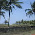 Pantai ini Banyak Pohon Kelapa