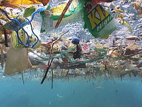 ocean litter