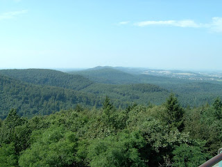 Bosque de Teutoburgo