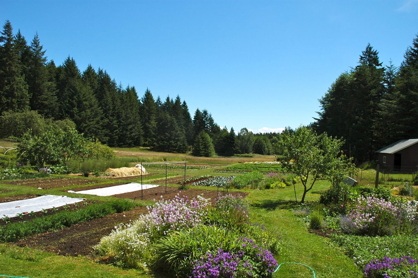 The Prep Cook Project Orcas Tour Doe Bay, Salmon and Oysters