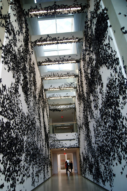 Black Cloud by Carlos Amorales at The Power Plant Contemporary Gallery in Toronto, art, artmatters, culture, the purple scarf, melanieps, ontario, canada, moths, butterflies, exhibit, exhibition