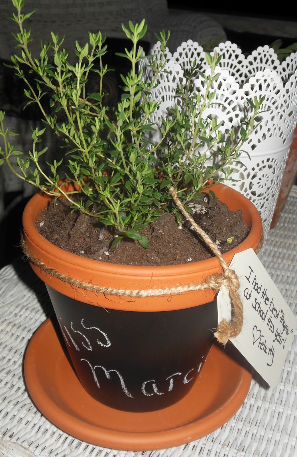 Real Livin With HSB Summer Thyme