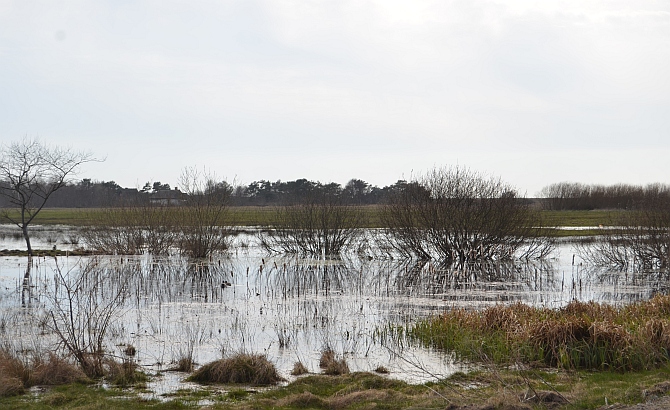 Jahreszeitenbriefe Page 7 Chan 38911623 Rssing Com