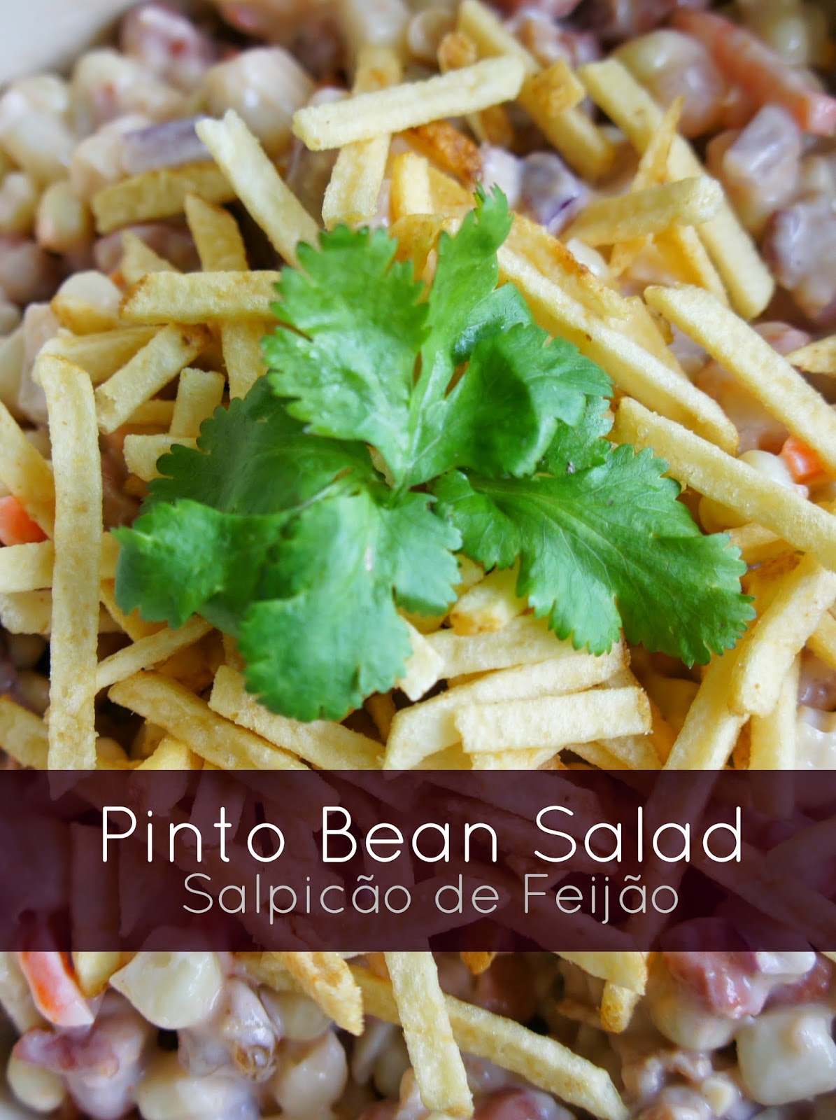 Pinto Bean Salad using Bush's Cocina Latina {plus 3 more bean appetizer recipes}