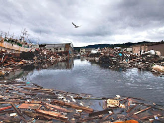 Fantasmas tras terremoto y tsunami de Japón
