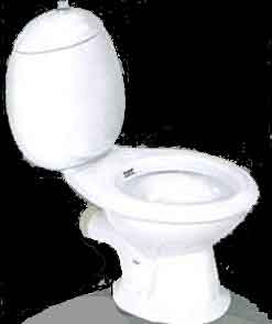 image of commode, the best medical advance in 200 years voted by readers of the British Medical Journal