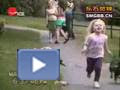 The world's most funny dog video youtube funny video