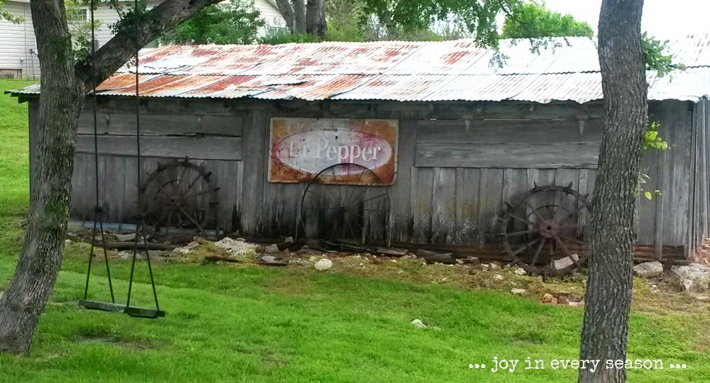 Afternoon at Farm joy in every season