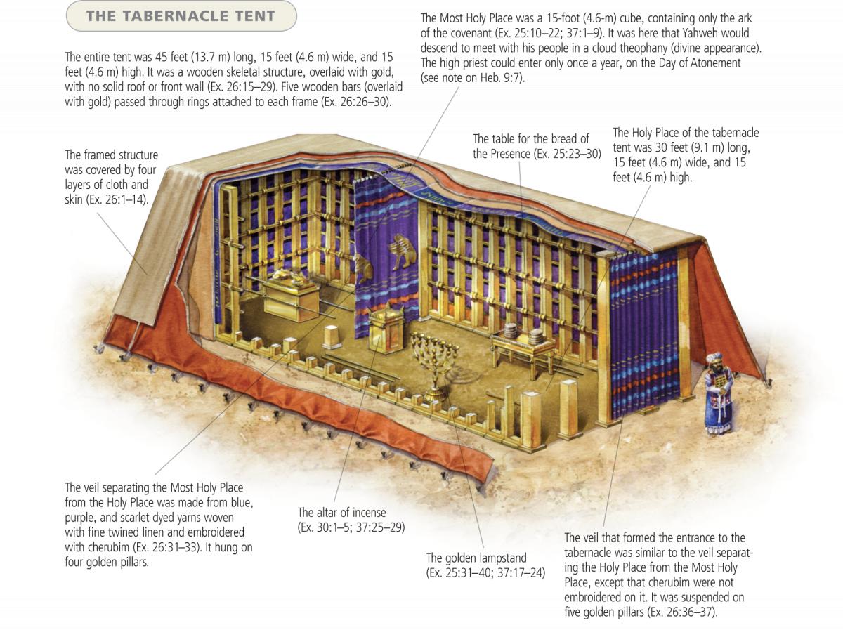 the book of exodus essay This article provides an introduction to the themes and topics of the book of leviticus, as well as its relevance for modern jews the book of exodus bible. the book of exodus essay This article provides an introduction to the themes and topics of the book of leviticus, as well as its relevance for modern jews the book of exodus bible.