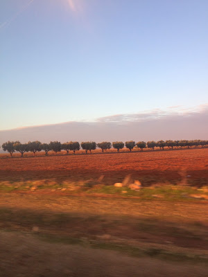 rencontre des femmes de sidi bel abbes