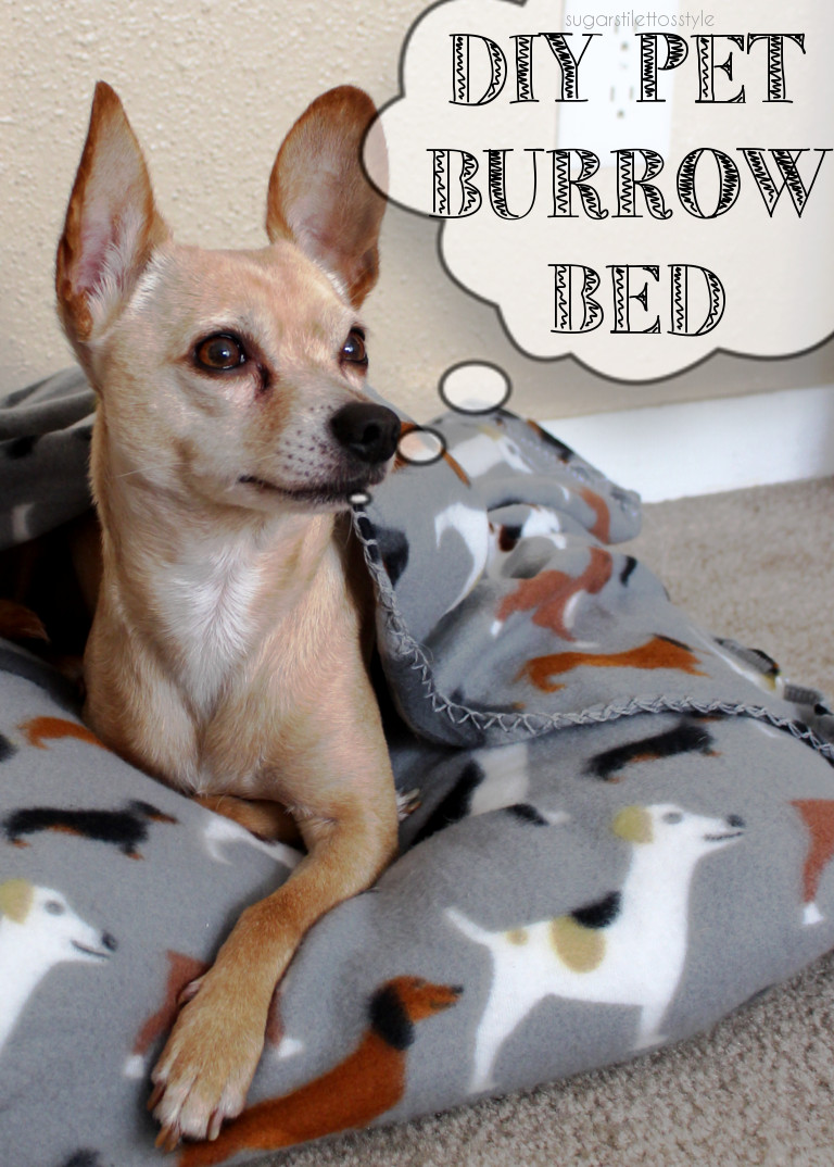 why do dogs burrow under pillows