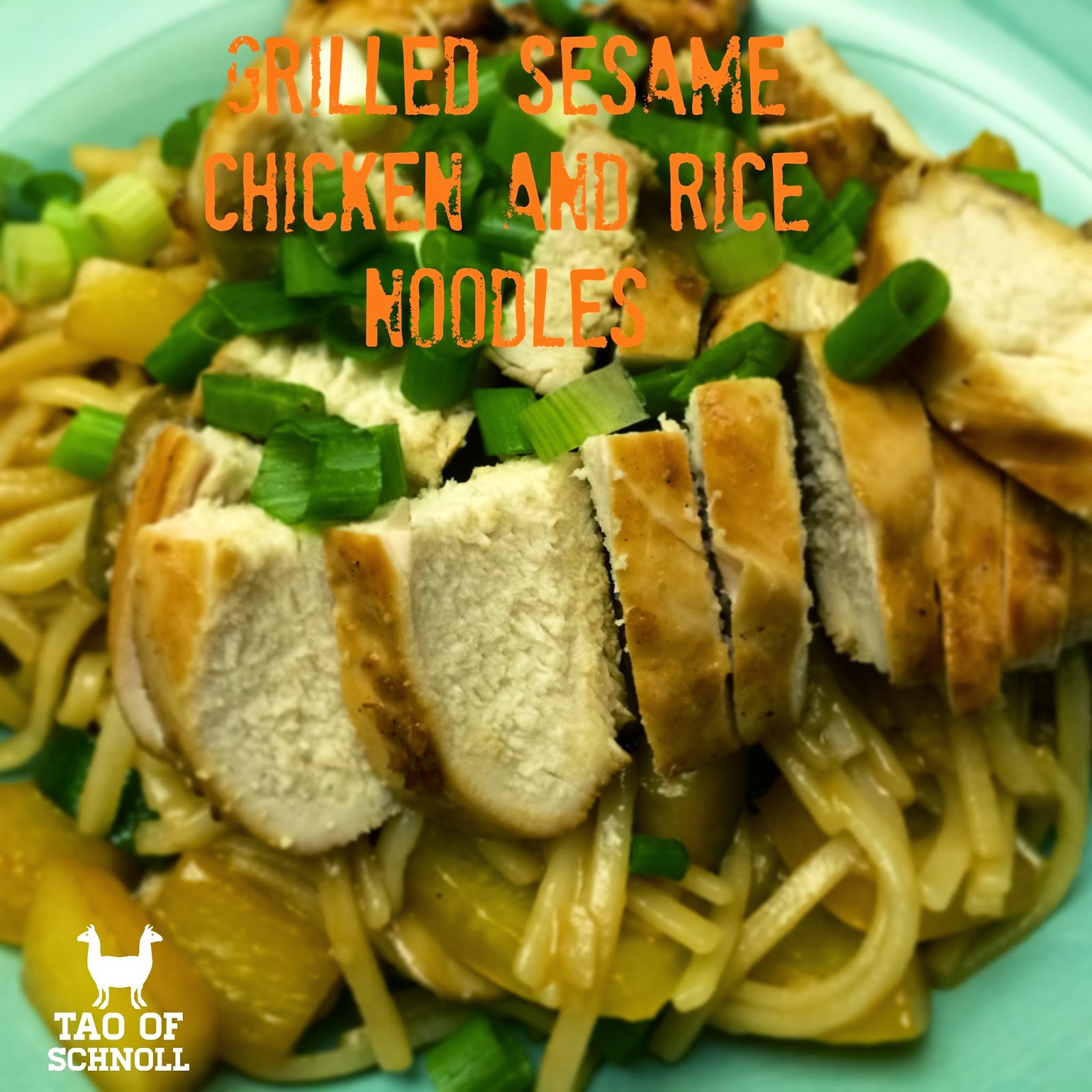 What Can I Make With Chicken And Rice Noodles at Clayton Brooks blog