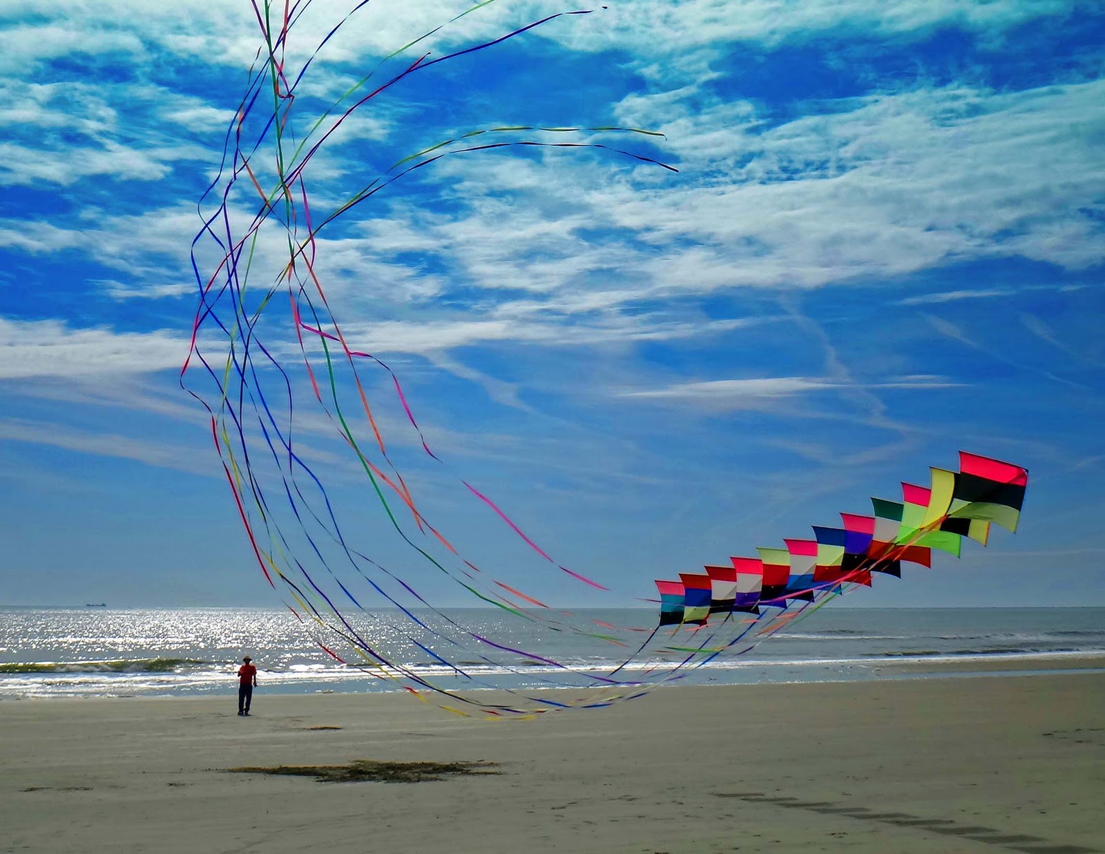 Joe's Retirement Blog Kites, Isle of Palms, South Carolina, USA