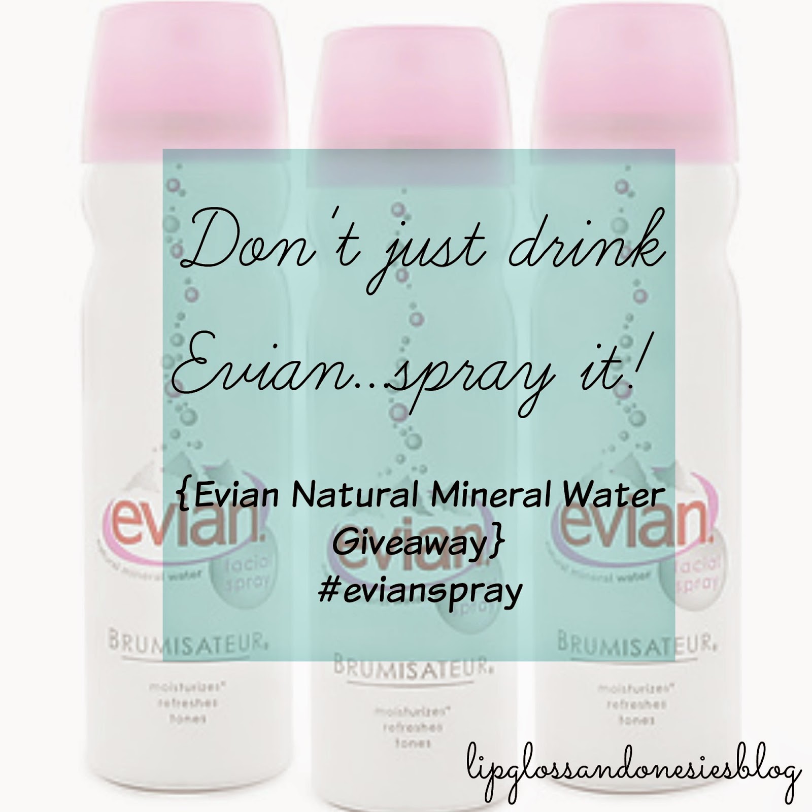 Lipgloss and Onesies Blog How do YOU hydrate your skin? {Evian Natural