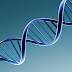 Paraíba implanta projeto de DNA em parceria com universidade da Espanha