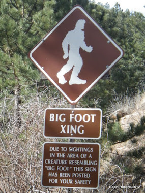 BigFoot Crossing on Pikes Peak