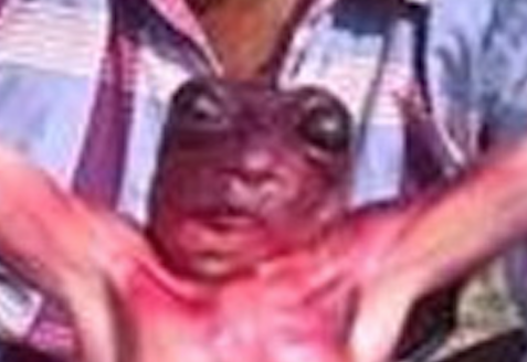 UFO Sightings Creature Found During Excavation India 2015, UFO Sighting News
