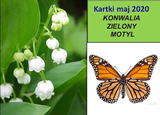 kartki przez cały rok- maj 2020