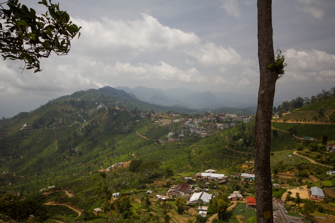 Hill Country Haputale Sri Lanka
