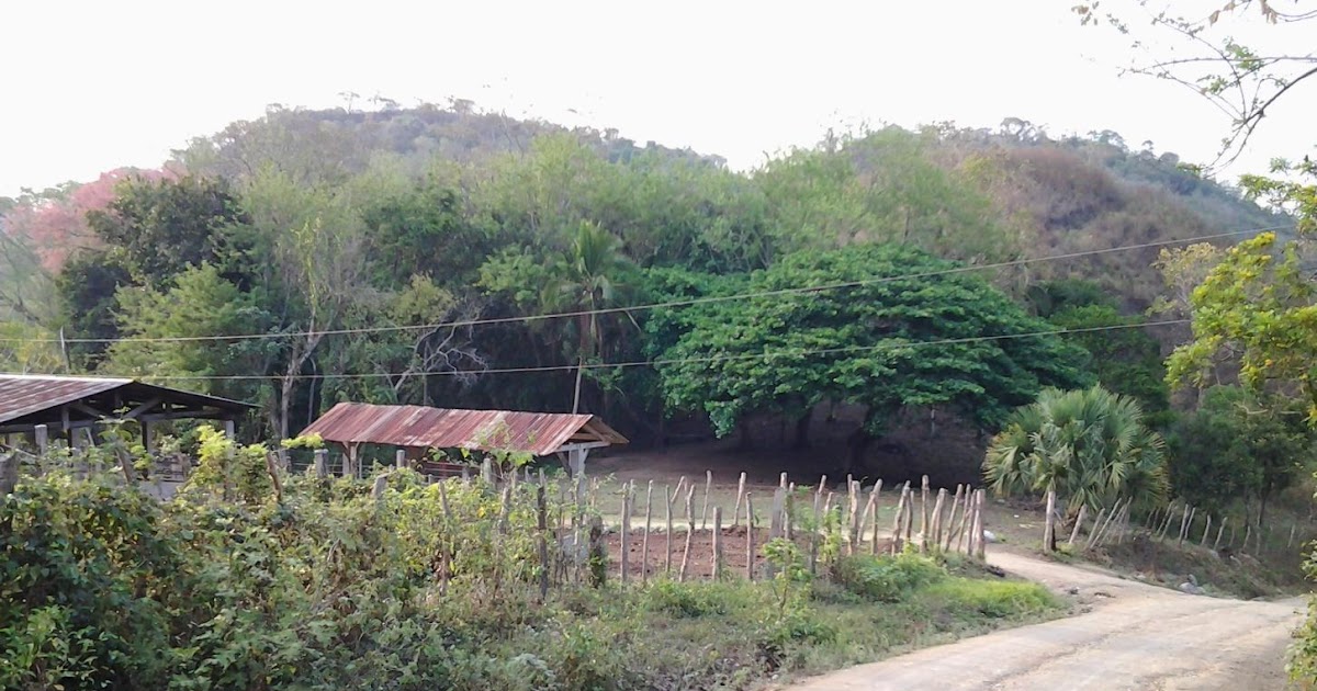Bienes Raices Madrid Honduras SE VENDE HACIENDA EN SANTA BARBARA