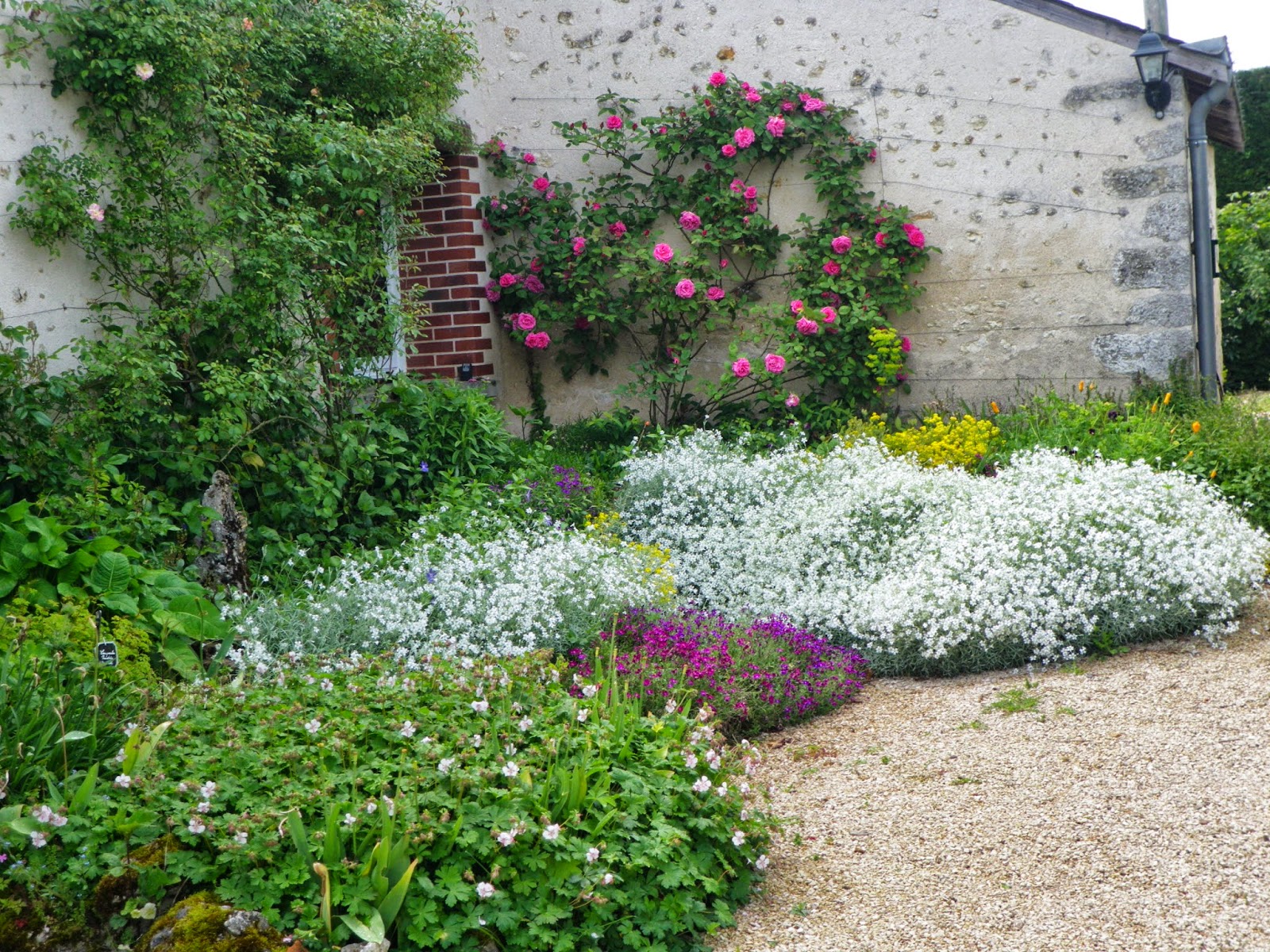 Quelle plante devant une clôture ?