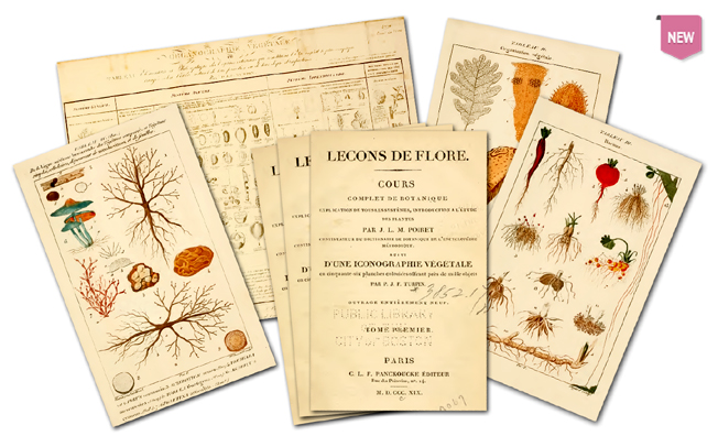 performers of 2013 grammys