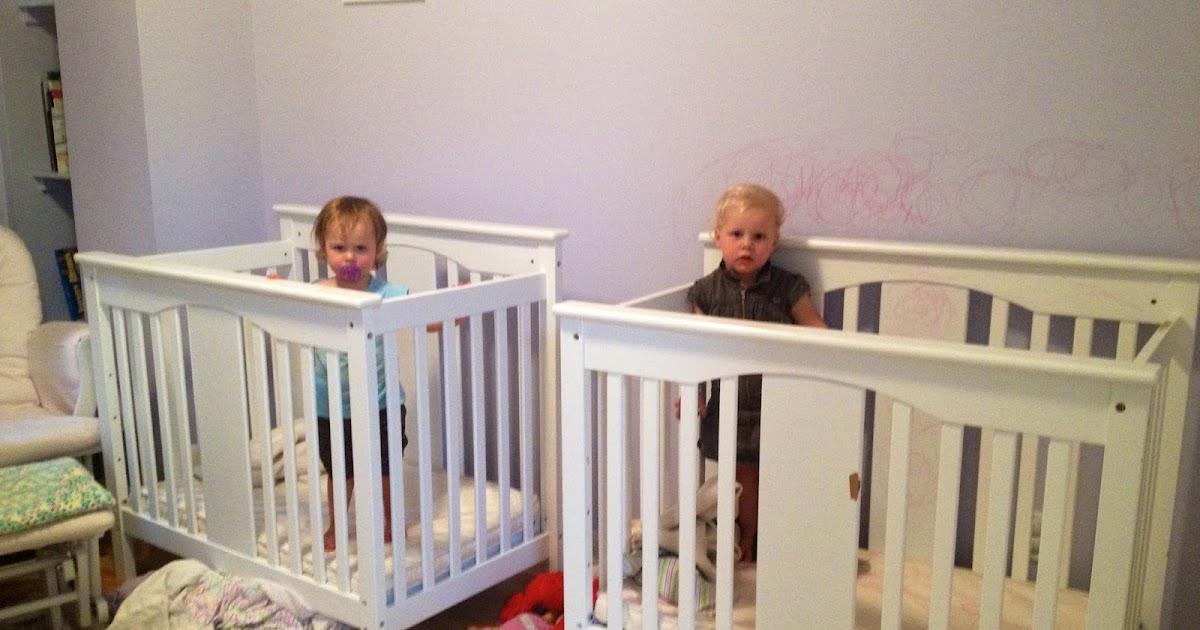 2moms2dogs2babies The Antics of 2year old Twins