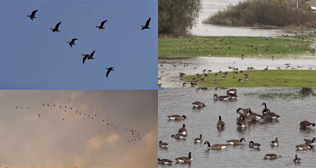 05 04 17 Jahre Hexenhouse Wesen Nrw Underground